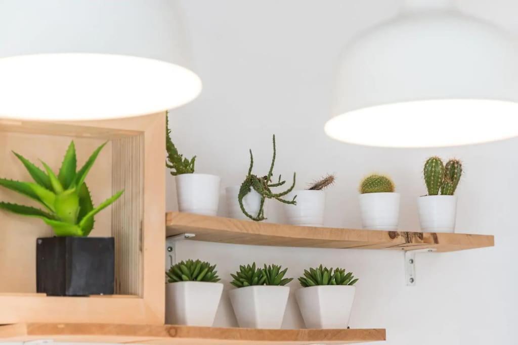 Inlapa Studio VI Porto Garden Екстериор снимка